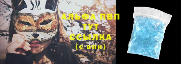 сатива Коряжма