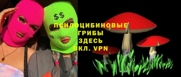 сатива Коряжма