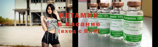 сатива Коряжма
