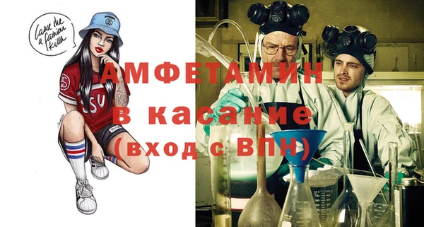 индика Пенза