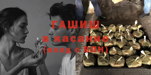 сатива Коряжма