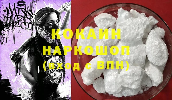 сатива Коряжма