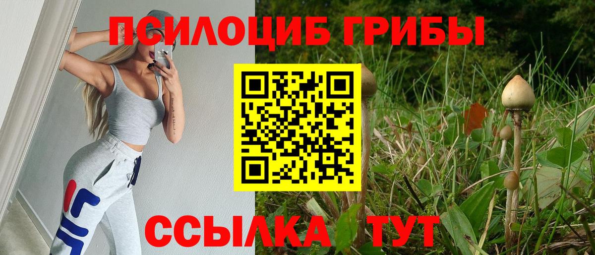 Псилоцибиновые грибы MAGIC MUSHROOMS  Новошахтинск  Псилоцибиновые грибы Psilocybe 